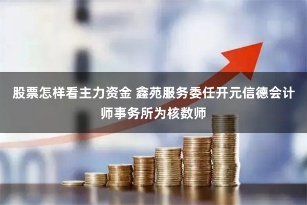 股票怎样看主力资金 鑫苑服务委任开元信德会计师事务所为核数师